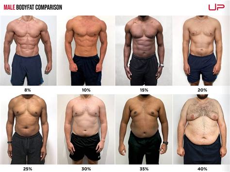 9 body fat percentage